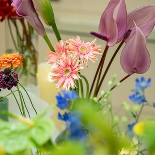 kotomi3さんの写真