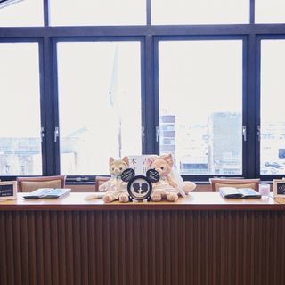 Harukaさんの写真