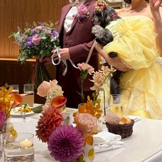 はるさんの写真