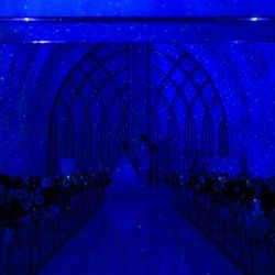 アルマリアン東京で挙げたmiki.nさんの結婚披露宴・挙式カバー写真1枚目