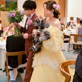 はるさんの写真