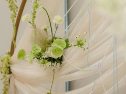 miavia_wd_0629さんの画像2枚目