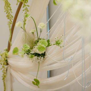 miavia_wd_0629さんの写真