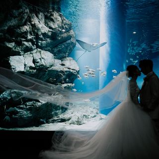 harumaki_66さんの写真