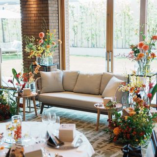 コンドさんの写真