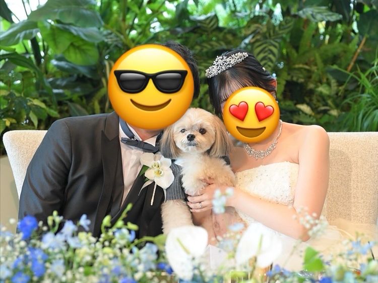 しずしろさんのカバー画像