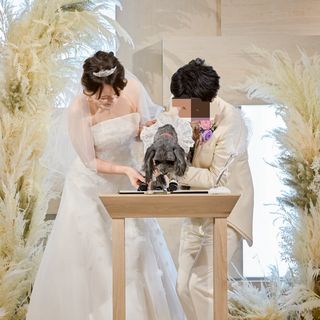 はるさんの写真
