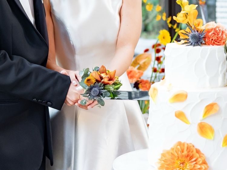 桃子さんのカバー画像