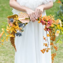 アマンダンライズの写真6枚目