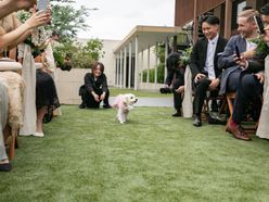 かりさんの画像3枚目