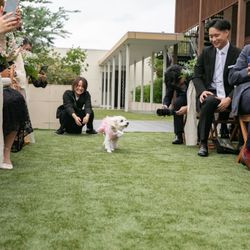 アマンダンテラスの写真7枚目