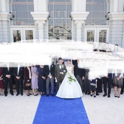 ザ・シーズンズの写真36枚目