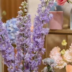 ザ・マークグランドホテルの写真13枚目