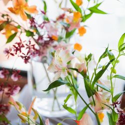 The Place of Tokyoの写真24枚目