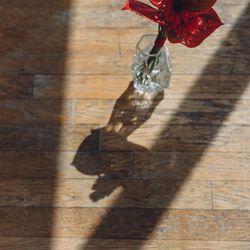 アマンダンテラスの写真14枚目