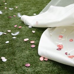 アマンダンテラスの写真2枚目