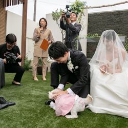 アマンダンテラスの写真8枚目