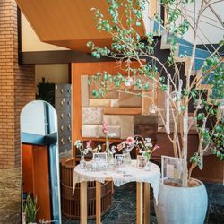 アマンダンテラスの写真3枚目