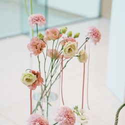 アマンダンテラスの写真19枚目