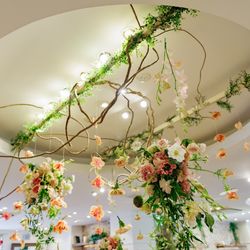 エレガンテヴィータの写真3枚目