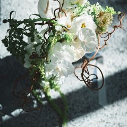 ザ ジャクソン ガーデンの写真3枚目