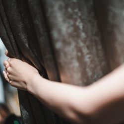 ザ ジャクソン ガーデンの写真4枚目