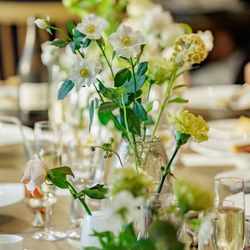 エレガンテヴィータの写真5枚目