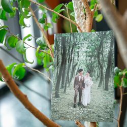 アマンダンテラスの写真1枚目