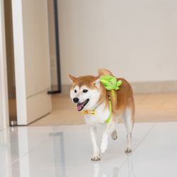 ハミングプラザVIP新潟の写真2枚目