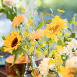 京都 北山モノリスの写真18枚目