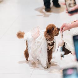 ザ クラシカ ベイリゾートの写真26枚目