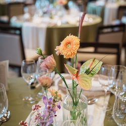 アマンダンテラスの写真21枚目