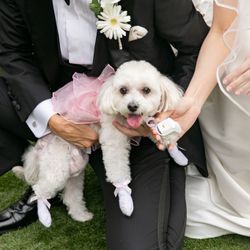 アマンダンテラスの写真6枚目