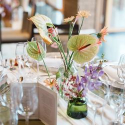 アマンダンテラスの写真19枚目