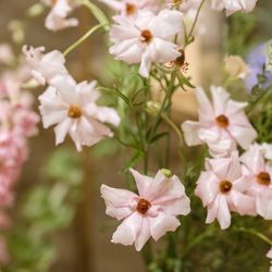 ザ・マークグランドホテルの写真7枚目