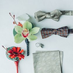 アマンダンテラスの写真13枚目