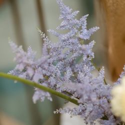 ザ・マークグランドホテルの写真6枚目