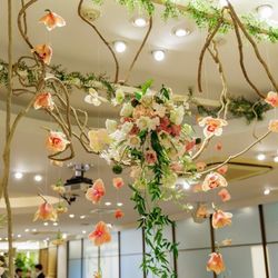 エレガンテヴィータの写真1枚目