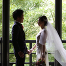 rocheeenaさんのアイコン画像