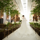 Mioさんのアイコン画像