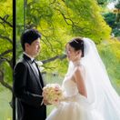 𝐒𝐀𝐑𝐈さんのアイコン画像