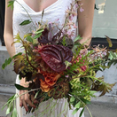 sumi_ka18さんのアイコン画像