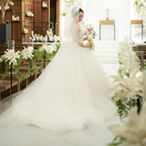 mmm_wd0229さんのアイコン画像