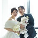 powder_kimpton2511さんのアイコン画像