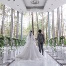 yumi4_6さんのアイコン画像