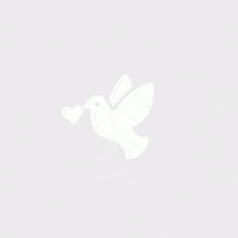 ウェディングニュース開発部