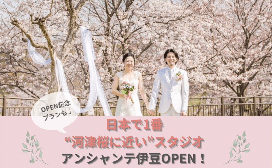 日本一“河津桜”に近いスタジオ『アンシャンテ伊豆』がOPEN！のカバー写真 0.6173076923076923