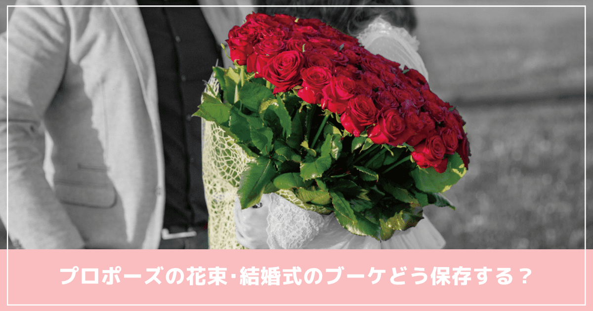 プロポーズの花束･結婚式のブーケどう保存する？綺麗な状態で長期保存する方法を実例付きで紹介♩のカバー写真 0.525