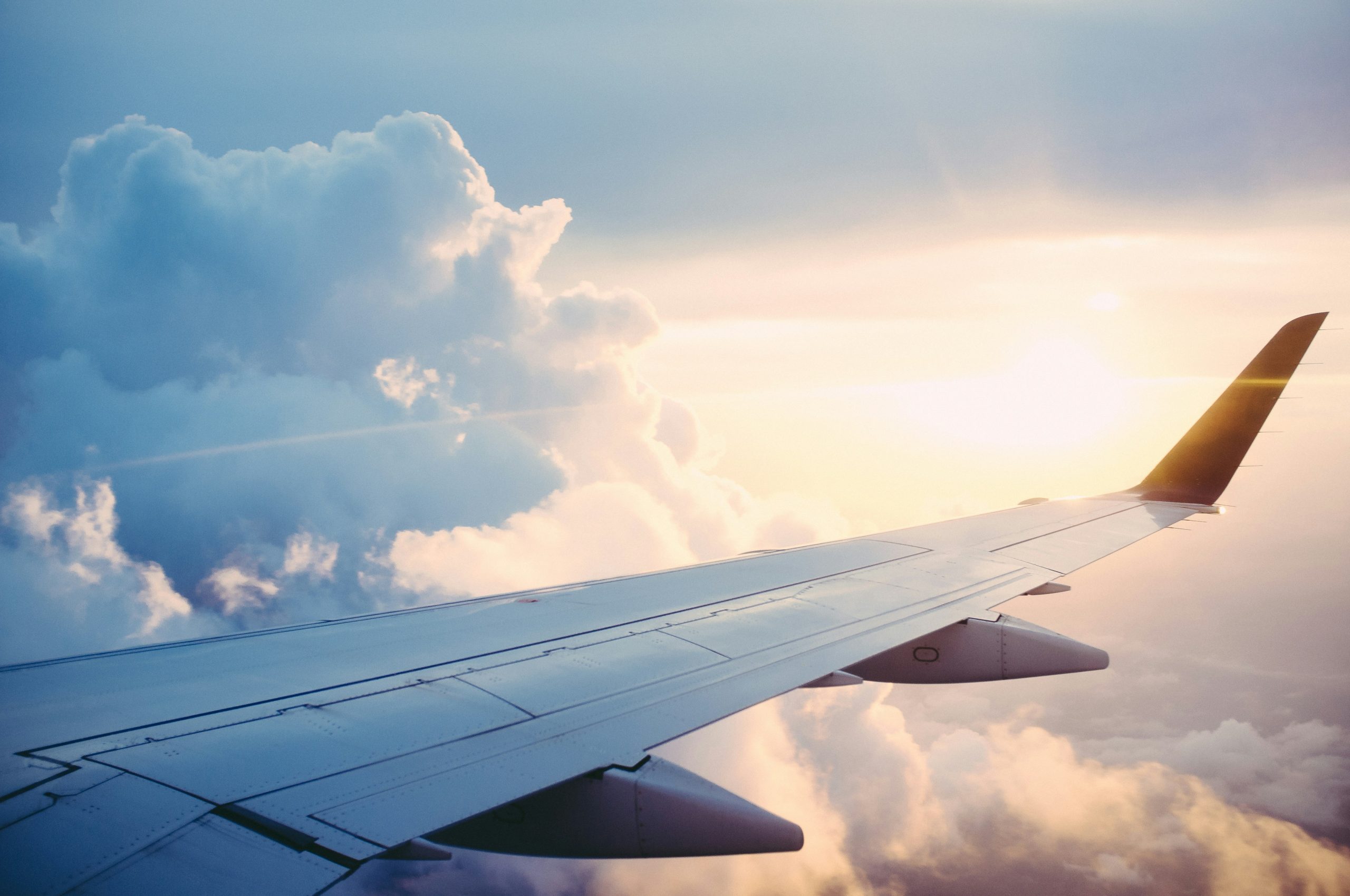 飛行機の機内