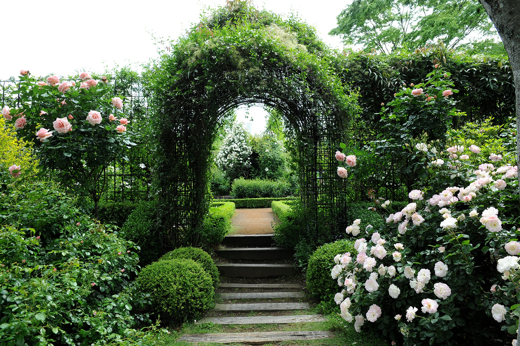 クレマチスの丘で結婚式 ウェディングニュース